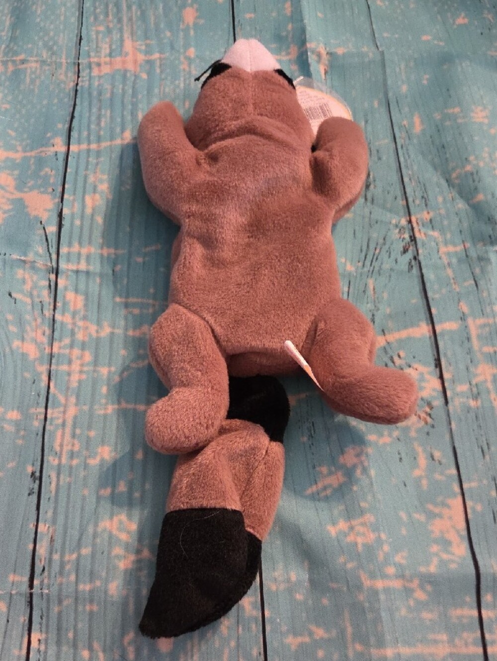 Ty Ringo Beanie Baby - Picture 2 of 4